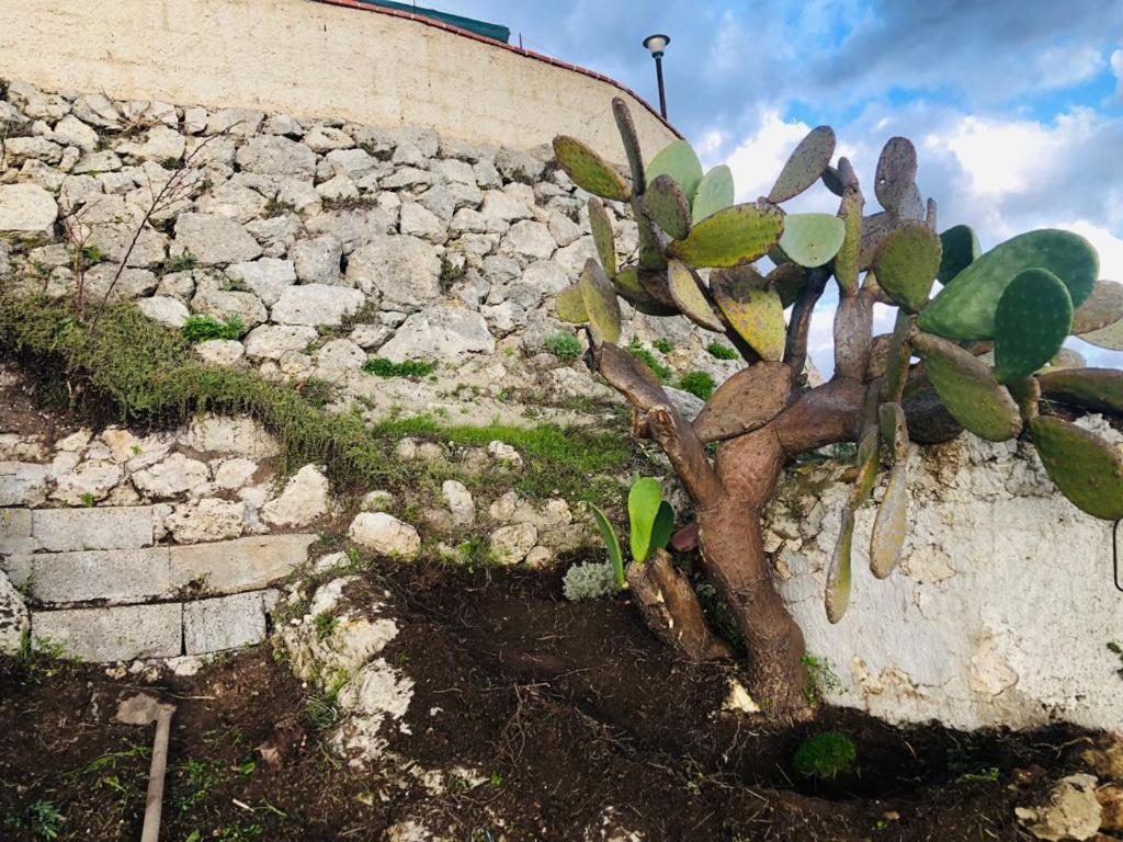 B&B Tenuta La Puntara Καλτανισέττα Εξωτερικό φωτογραφία