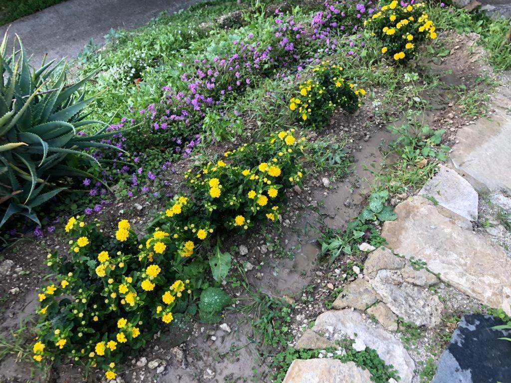B&B Tenuta La Puntara Καλτανισέττα Εξωτερικό φωτογραφία