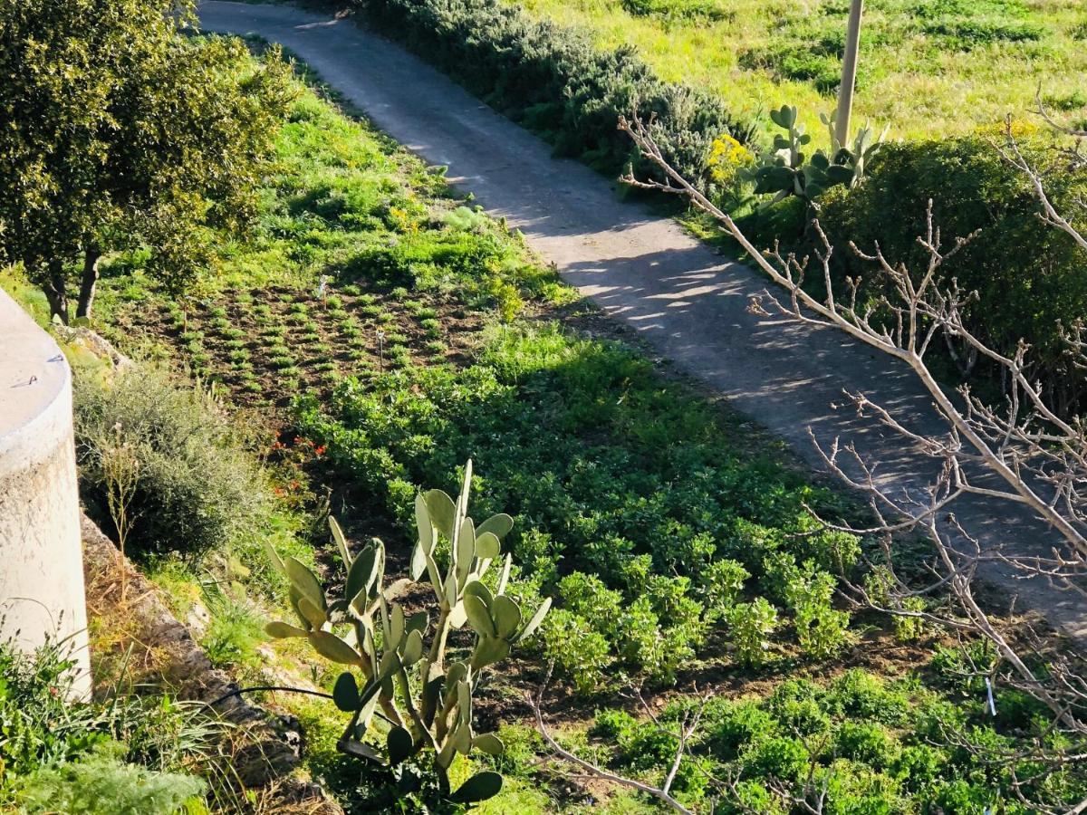 B&B Tenuta La Puntara Καλτανισέττα Εξωτερικό φωτογραφία