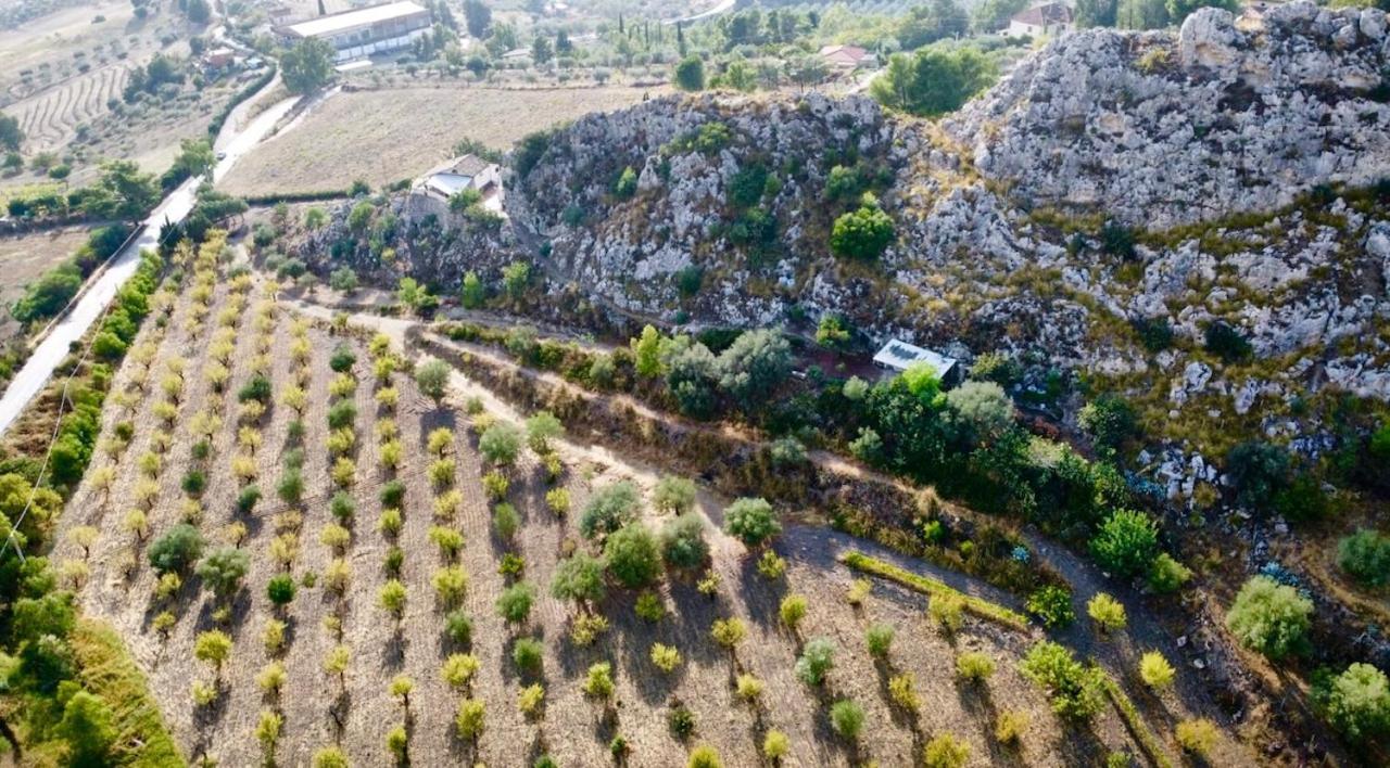 B&B Tenuta La Puntara Καλτανισέττα Εξωτερικό φωτογραφία