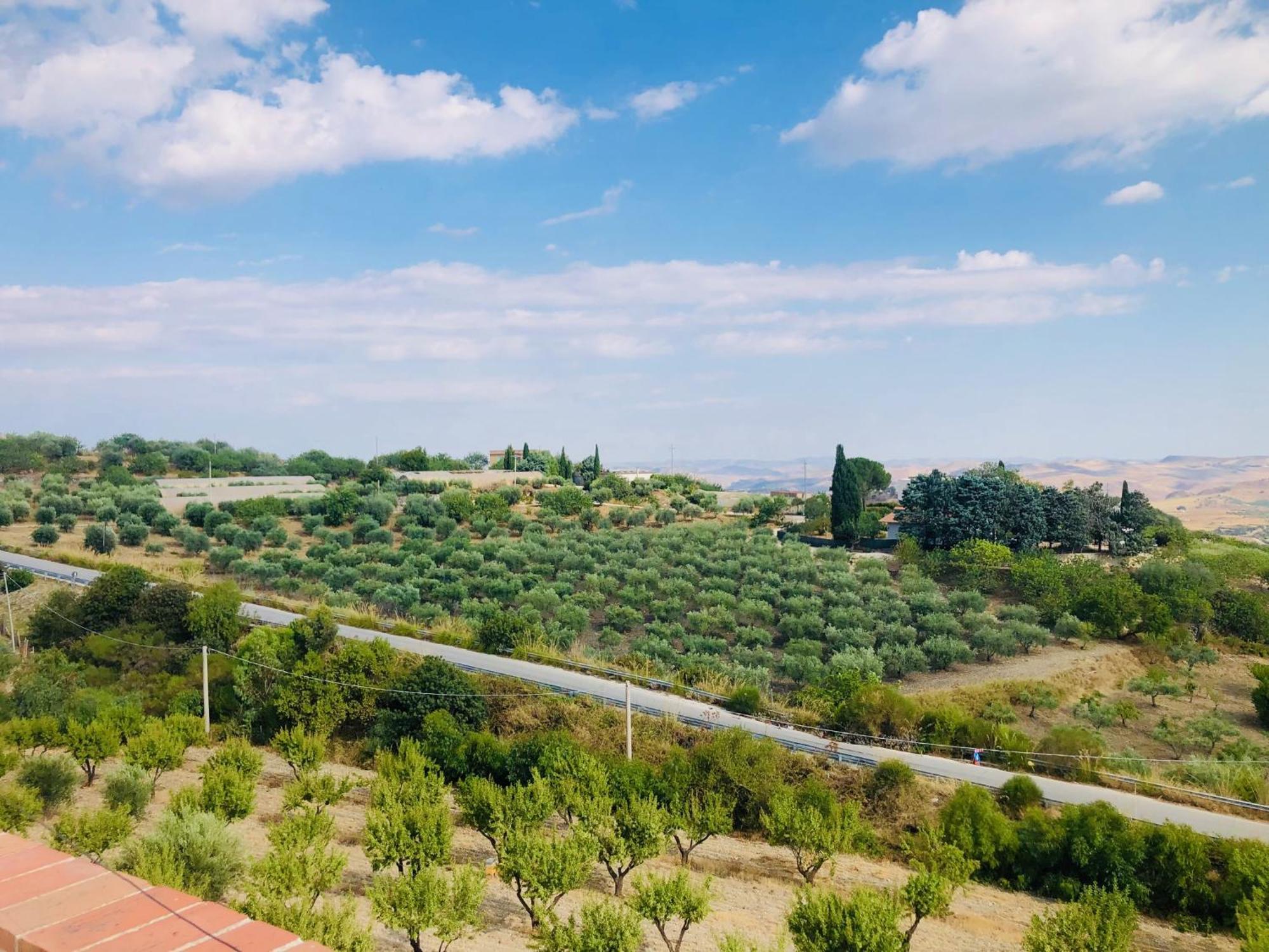 B&B Tenuta La Puntara Καλτανισέττα Εξωτερικό φωτογραφία